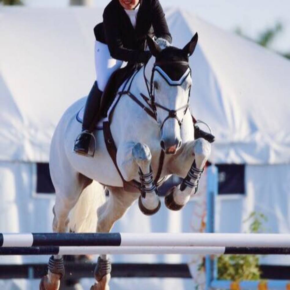 Meet your Posher, Betta